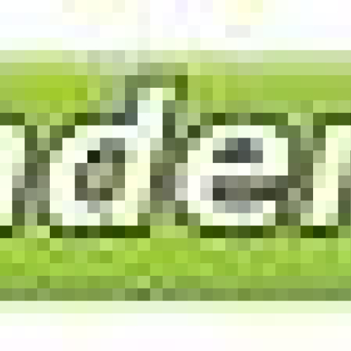 VS_logo_Haaglanden_Mobiel_2.JPG