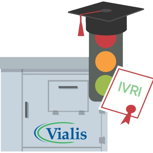 ivri-image.jpg
