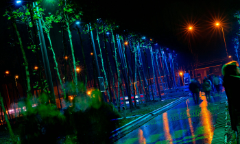 VIA151113 img 077.jpg