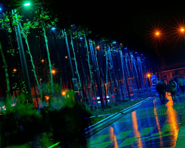VIA151113 img 077.jpg