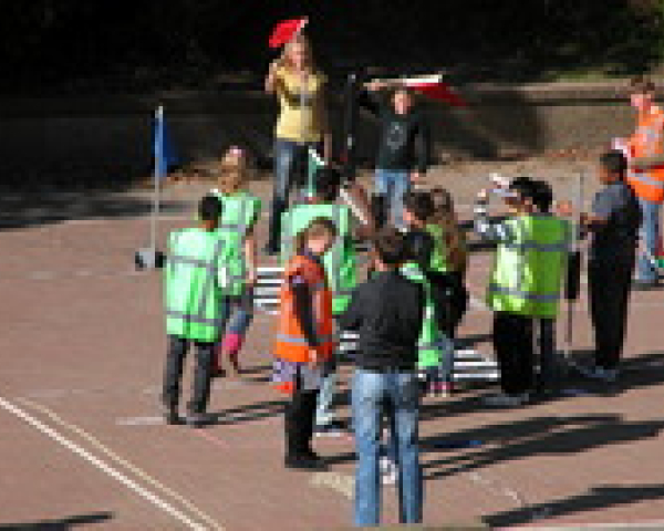 vvn1.JPG