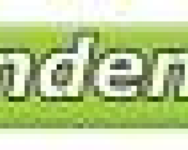 VS_logo_Haaglanden_Mobiel_2.JPG