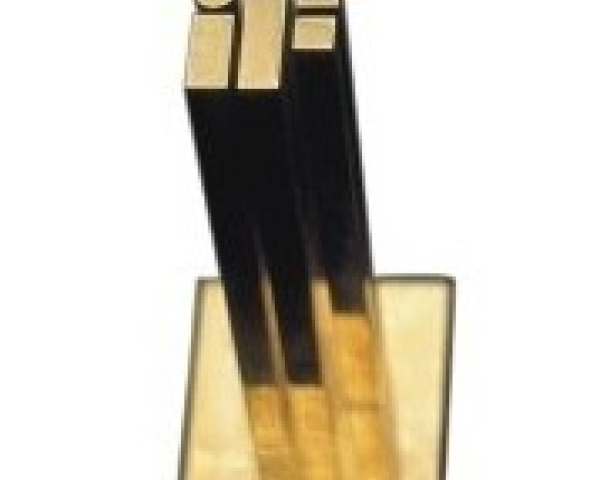 180px-iFgold2005ViaLina_0.jpg